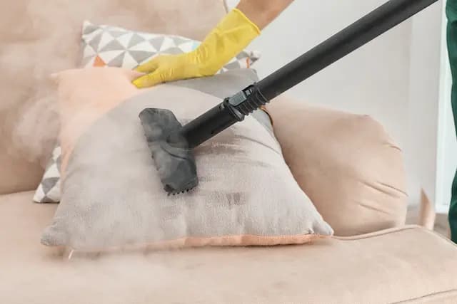 Vacuuming After Bed Bug Treatment The Right Timing and Method